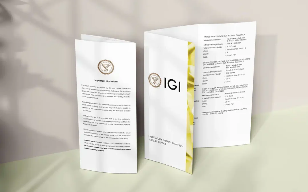 certification international igi